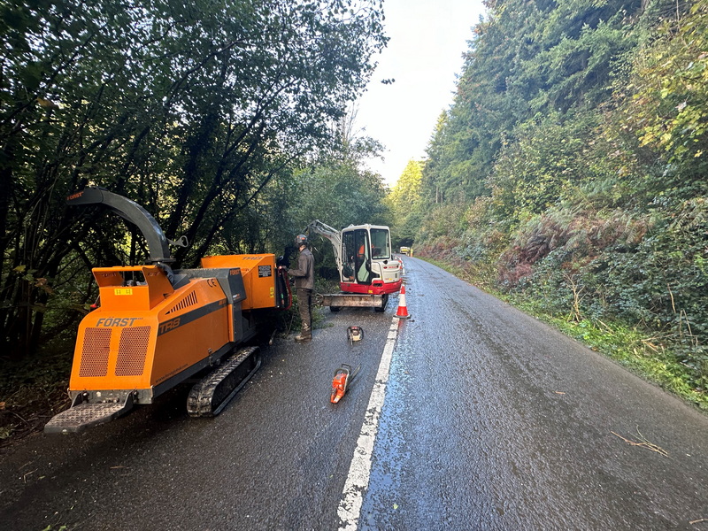 Battling the Blight: A Day of Ash Clearance in North Devon